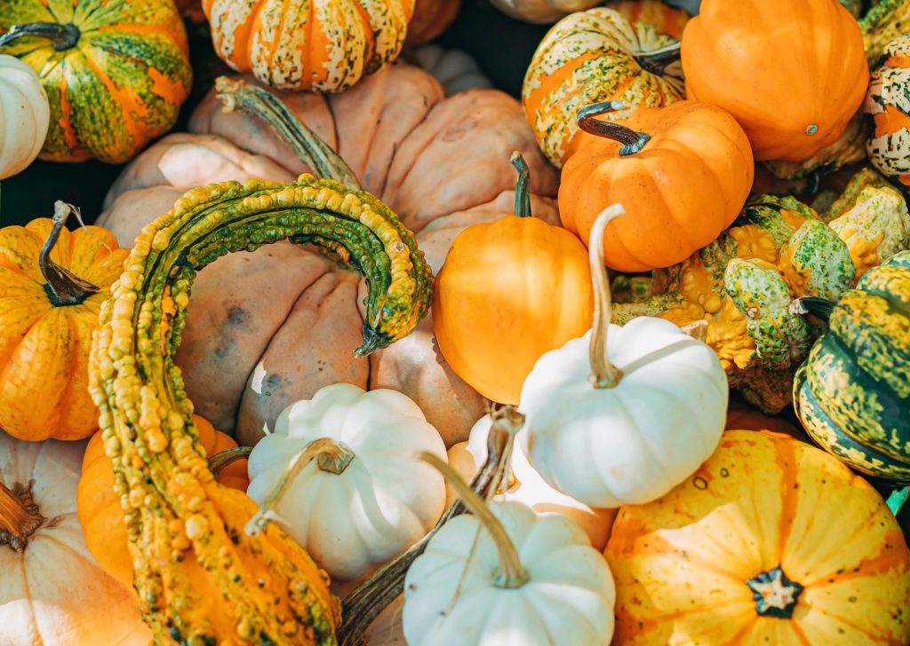 Pumpkins and gourds