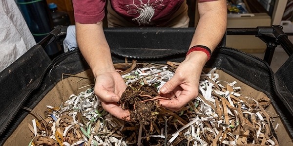 Hands holding dirt over a composting container